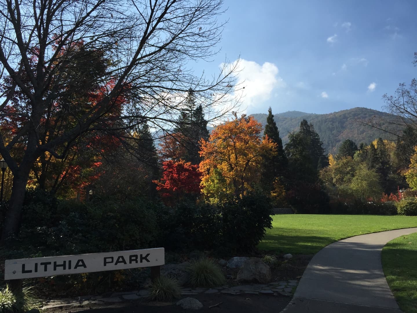 自然豊かな公園