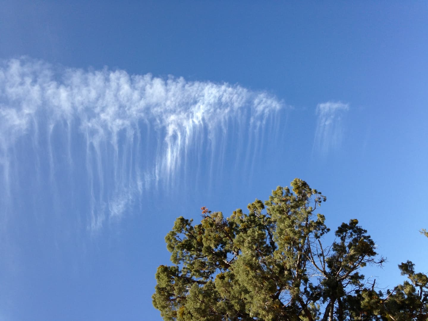 青空と飛行機雲